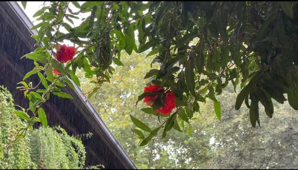 它来了！过程降温幅度可达6℃以上